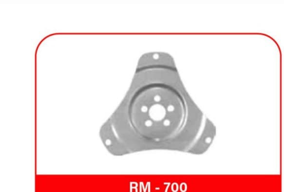 RM-700